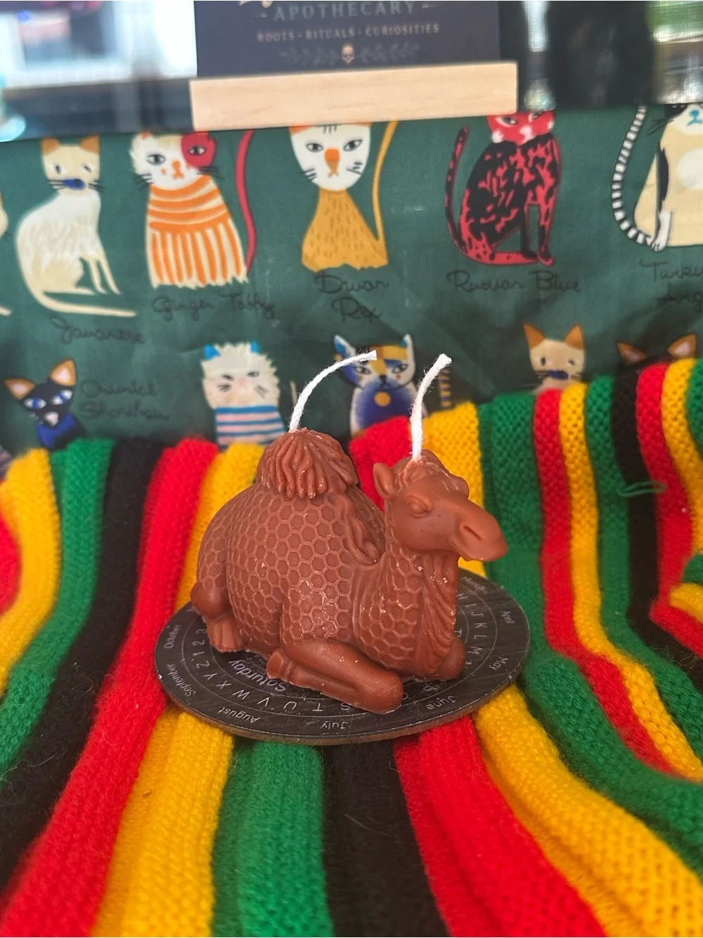 Camel Candle – Double Wick